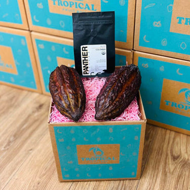 Cacao & Coffee Box GoogleON Tropical Fruit Box